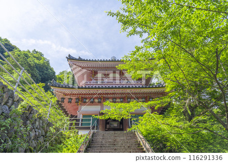 初夏的奈良，坪坂寺慈源堂 116291336