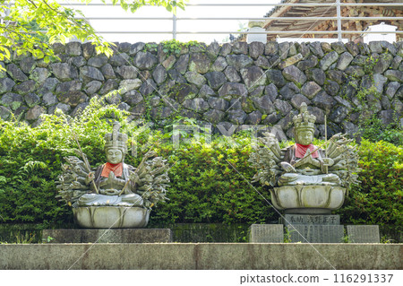 Early summer in Nara, Tsubosaka-dera Temple, Thousand-Armed Kannon Statue 116291337