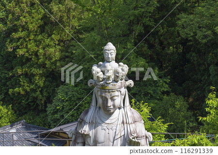 坪坂寺豚虎井十一面觀音(情侶觀音) 坪坂寺豚虎井十一面觀音(情侶觀音) 116291339