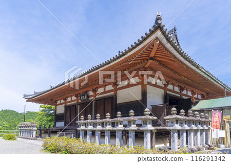 奈良初夏，坪坂寺 116291342