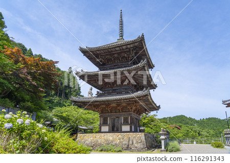 初夏的奈良,坪坂寺,三層寶塔 初夏的奈良,坪坂寺,三層寶塔 116291343