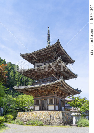 Early summer in Nara, Tsubosaka-dera Temple, Three-story Pagoda 116291344