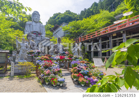 坪坂寺、釋迦牟尼如來石像及繡球花 坪坂寺、釋迦牟尼如來石像及繡球花 116291353