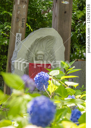 坪坂寺地藏長津屋及繡球花 116291356