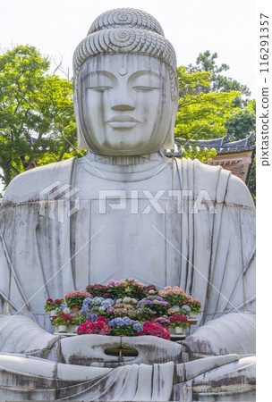 坪坂寺、釋迦牟尼如來石像及繡球花 116291357