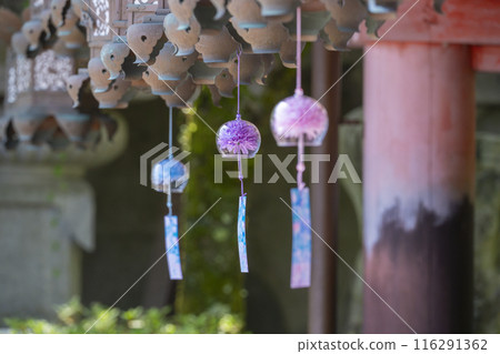 坪坂寺的燈籠和繡球花風鈴 坪坂寺的燈籠和繡球花風鈴 116291362