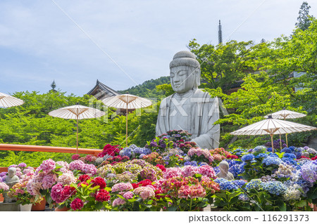 坪坂寺、釋迦牟尼如來石像及繡球花 坪坂寺、釋迦牟尼如來石像及繡球花 116291373
