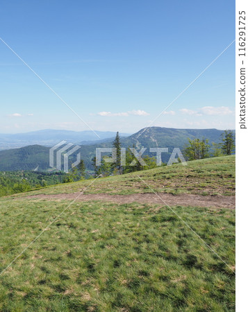 Beauty Klimczok mount 1 117 m in Silesian Beskids near Bielsko-Biala city in Poland - vertical 116291725