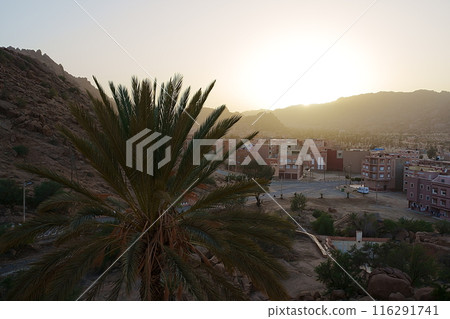 Sun set and palm tree in African Tafraout city in Morocco Sun set and palm tree in African Tafraout city in Morocco 116291741