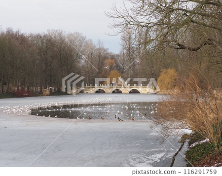 Historical bridge in baths park in European Warsaw city of Poland Historical bridge in baths park in European Warsaw city of Poland 116291759