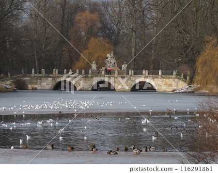 Old bridge in baths park in European Warsaw city of Poland Old bridge in baths park in European Warsaw city of Poland 116291861