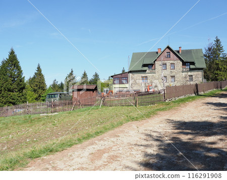 Path to shelter on Klimczok mount near European Klimczok peak in Poland - vertical 116291908
