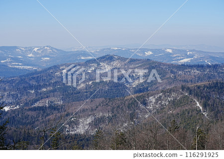 Mountainside area of Silesian Beskid near European Szczyrk town in Poland Mountainside area of Silesian Beskid near European Szczyrk town in Poland 116291925
