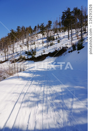 Snowy path in Silesian Beskid near European Szczyrk in Poland - vertical Snowy path in Silesian Beskid near European Szczyrk in Poland - vertical 116291926