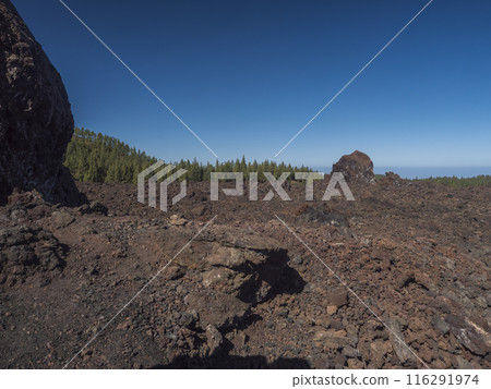 Volcanic landscape at Chinyero volcano circular hiking trail. Black ground of lava ash and rock, green endemic Canary island pines, atlantic ocean and clear blue sky. Tenerife, Spain Volcanic landscape at Chinyero volcano circular hiking trail. Black ground of lava ash and rock, green endemic Canary island pines, atlantic ocean and clear blue sky. Tenerife, Spain 116291974