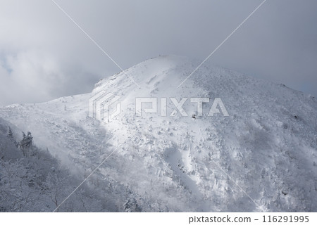 Nishitengudake and snowy scenery seen from Shibunoyu route (Higashitengu to Nakayama Pass) of Higashitengudake in the harsh winter in Chino City, Nagano Prefecture Nishitengudake and snowy scenery seen from Shibunoyu route (Higashitengu to Nakayama Pass) of Higashitengudake in the harsh winter in Chino City, Nagano Prefecture 116291995