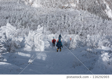 Climbers and snow scenery on the Shibunoyu route (Higashi Tengu to Nakayama Pass) of Mount Higashi Tengu in the harsh winter in Chino City, Nagano Prefecture Climbers and snow scenery on the Shibunoyu route (Higashi Tengu to Nakayama Pass) of Mount Higashi Tengu in the harsh winter in Chino City, Nagano Prefecture 116292003