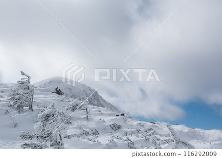 Snow scenery on the Shibunoyu route (Higashi Tengu to Nakayama Pass) of Mount Higashi Tengu in the harsh winter in Chino City, Nagano Prefecture 116292009