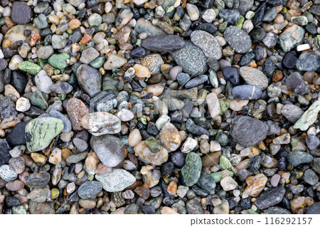Seamless abstract background top view. Close-up texture of colorful sea pebbles. Drainage 116292157