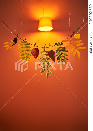 Bright orange autumn background with a garland of dry leaves with space for text. 116292239