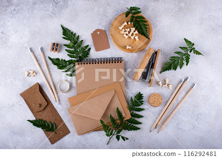 Eco wooden craft stationery. Sustainable life concept 116292481