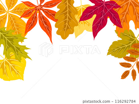 Background with autumn leaves. Illustration with various foliage. 116292784