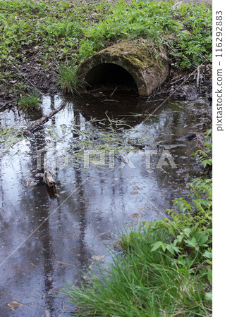 Concrete culvert in the summer park 116292883