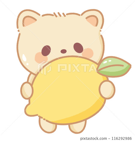 Hand drawn illustration kawaii yellow beige teddy bear holding a big lemon Hand drawn illustration kawaii yellow beige teddy bear holding a big lemon 116292986