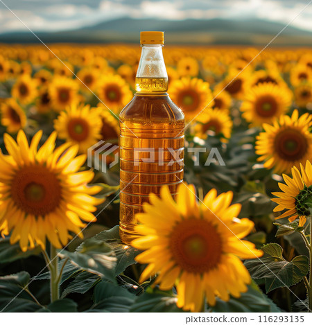 Bottle of sunflower oil standing on table surrounded by sunflowers, field sunflowers in background 116293135