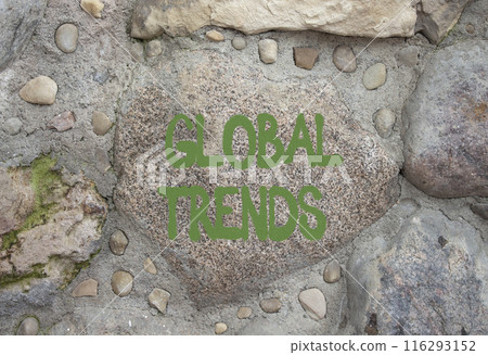 Global Trends symbol. Stone wall with words Global Trends. Beautiful stone background. Business and Global Trends concept. Copy space. 116293152