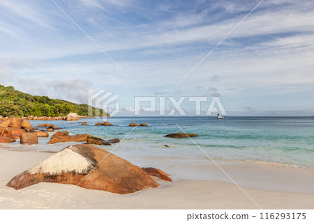 Anse Lazio beach view with wet rocks and shore water on a sunny summer day 116293175