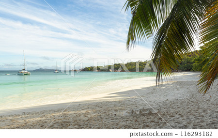 Coastal view of Anse Lazio. Praslin island, Seychelles 116293182
