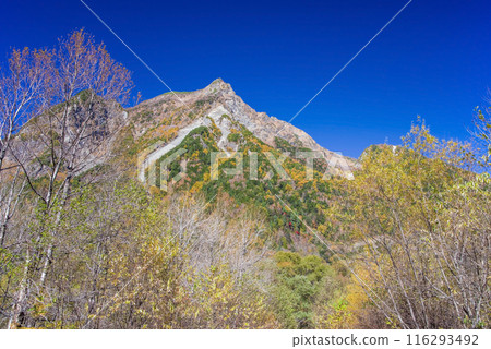 《Autumn in Kamikochi》Mt. Myojin seen from the left bank road of the Azusa River 《Autumn in Kamikochi》Mt. Myojin seen from the left bank road of the Azusa River 116293492