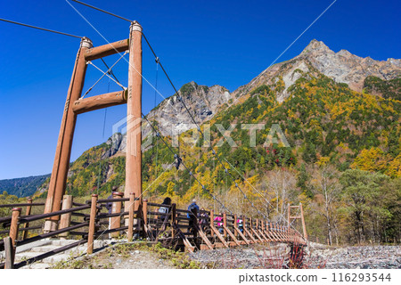 [秋天的上高地] 明神山與明神橋的紅葉 116293544