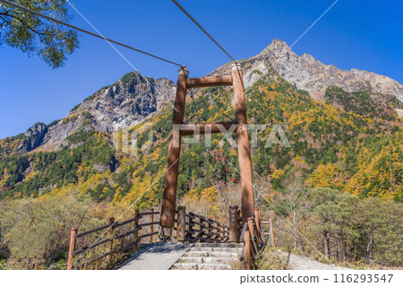 [秋天的上高地] 明神山與明神橋的紅葉 116293547