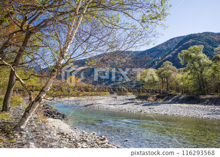 "Autumn in Kamikochi" Refreshing scenery around Myojin Bridge 116293568