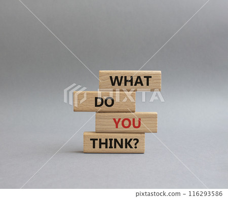 What do you think symbol. Wooden blocks with words What do you think. Beautiful grey background. Business and What do you think concept. Copy space. What do you think symbol. Wooden blocks with words What do you think. Beautiful grey background. Business and What do you think concept. Copy space. 116293586