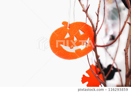 Closeup Halloween orange pumpkin on white background with copy space for text. Halloween concept. Closeup Halloween orange pumpkin on white background with copy space for text. Halloween concept. 116293859