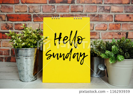 Hello Sunday text message and artificial plant in metal vase decoration on wooden background 116293939