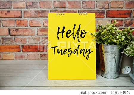 Hello Thursday text message and artificial plant in metal vase decoration on wooden background Hello Thursday text message and artificial plant in metal vase decoration on wooden background 116293942