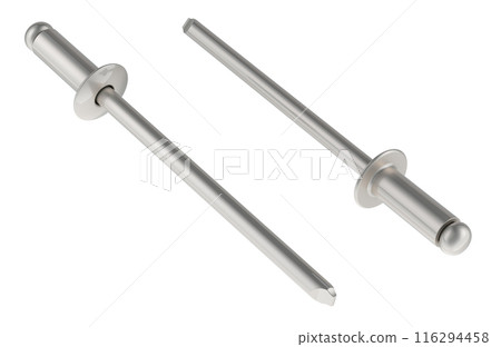 Two Blind Rivets, 3D rendering 116294458