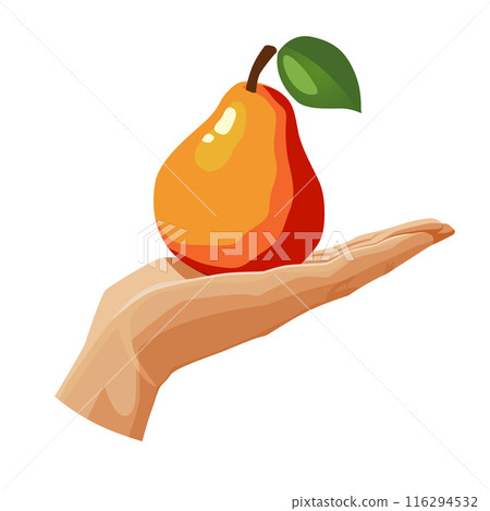 red pear in the palm isolated on white background. Vector fruit clipart in flat style for design red pear in the palm isolated on white background. Vector fruit clipart in flat style for design 116294532