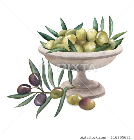 Green olives in a metal bowl. olive branch, purple. The illustration is hand-drawn in watercolor on a white background in the Greek style. Suitable for tableware design, textile, printing, postcards. 116295651