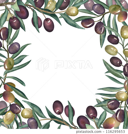 Olives, olive branch, green, purple, square frame, olive oil, food, Greece. The illustration is painted in watercolor on a white background. For packaging design, textile, fabrics, cards, invitations. 116295653