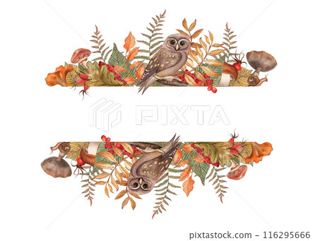Rowan, rosehip, tree branch, mushrooms, leaves, fern, owl, autumn forest, frame, hand-drawn illustration in watercolor on a white background. Suitable for design cards, invitation, posters, holiday. 116295666