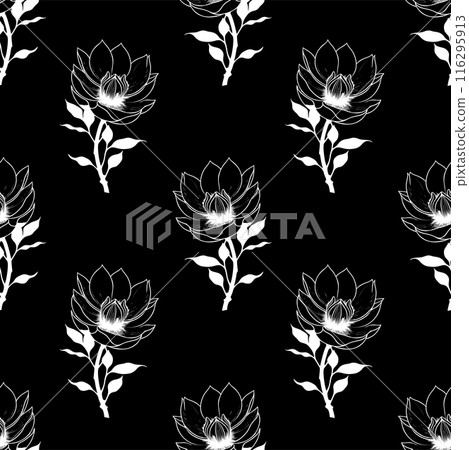 seamless symmetrical pattern of white graphic magnolia flowers on a black background, texture, design 116295913