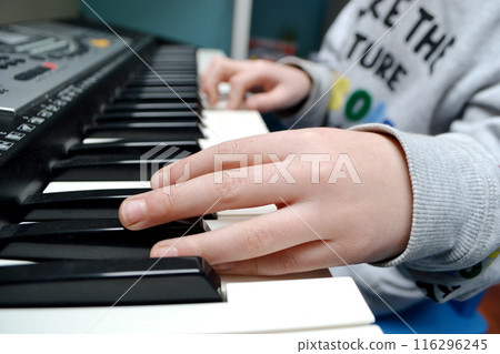 Close up of happy woman's hand playing the piano in the morning. 116296245