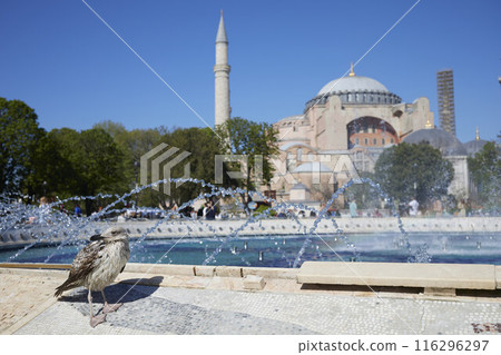 Hagia Sophia Grand Mosque. Ayasofya Camii 116296297