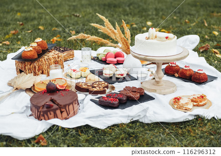 Sweet Indulgence: Array of Desserts on Picnic Blanket Sweet Indulgence: Array of Desserts on Picnic Blanket 116296312