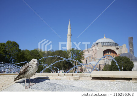 Hagia Sophia Grand Mosque. Ayasofya Camii Hagia Sophia Grand Mosque. Ayasofya Camii 116296368